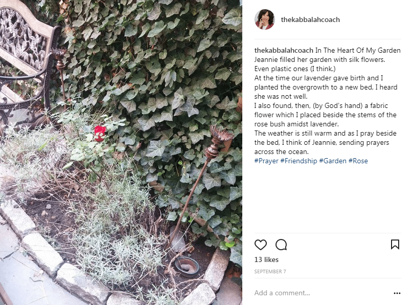 Jeannette's Rose in the Garden